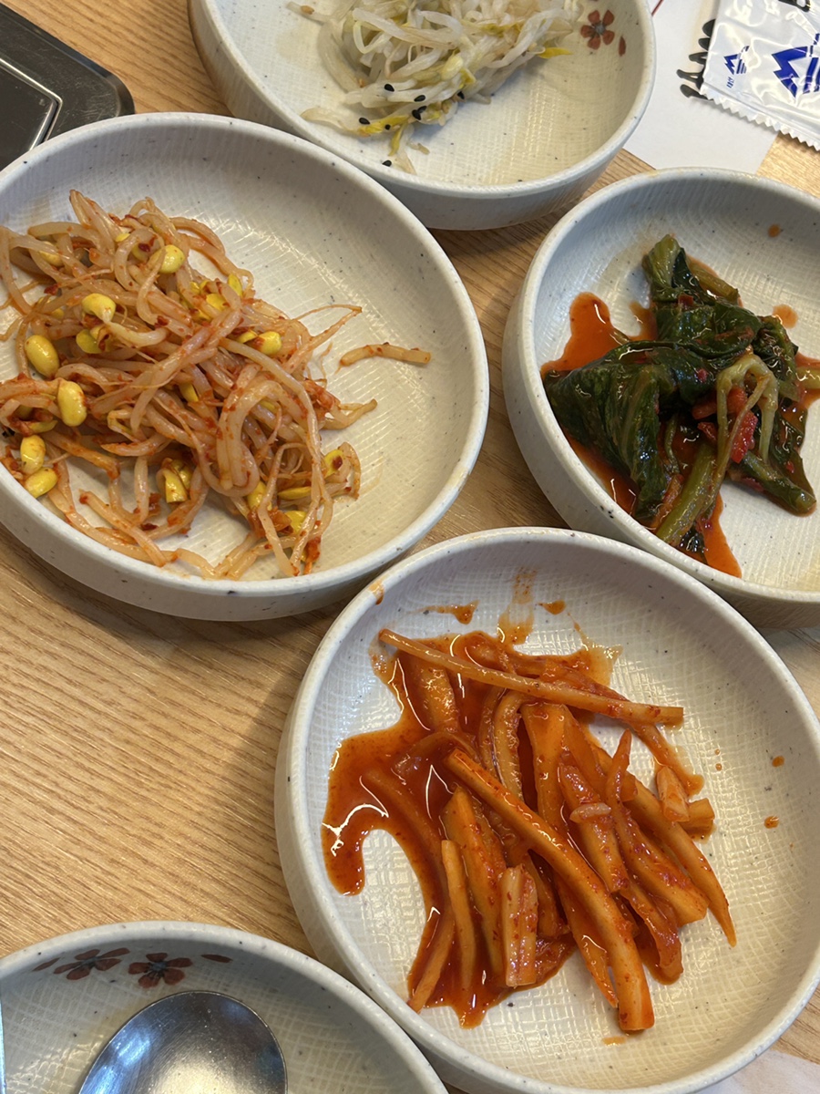 전낙소 도룡점 사진 6