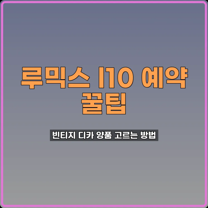루믹스 l10 예약 성공 빈티지 카메라 가이드