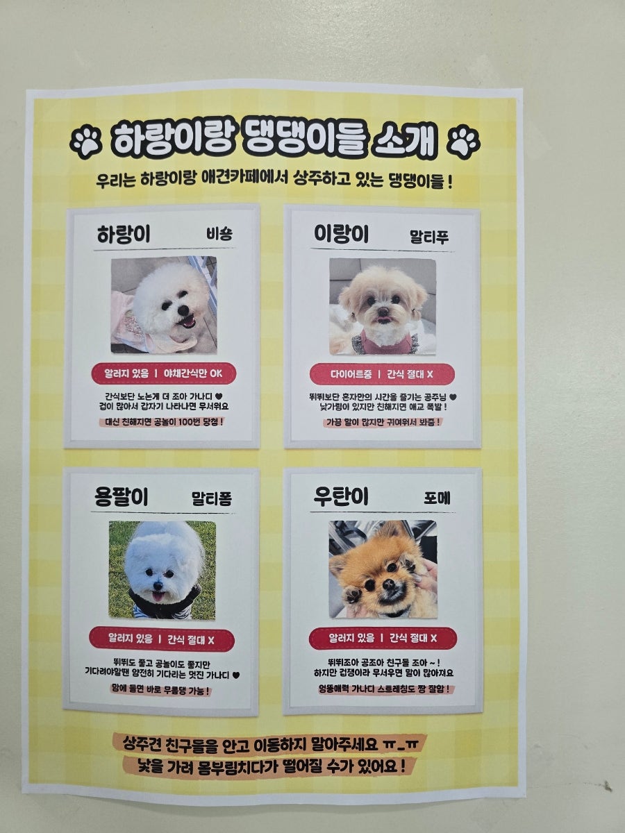 하랑이랑애견카페 사진 6