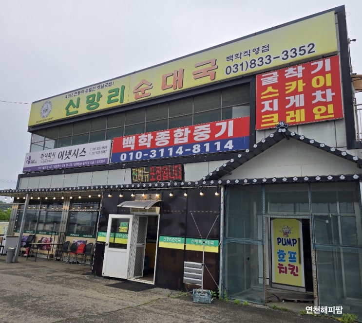  연천 백학 맛집 아침식사 가능 백학리조트 인근 신망리순대국