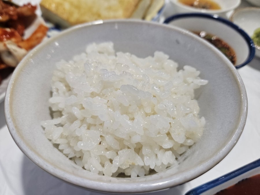 문어양 사진 6