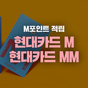 현대카드 M vs 현대카드 MM 연회비 및 M포인트 적립 카드 혜택 비교 총정리