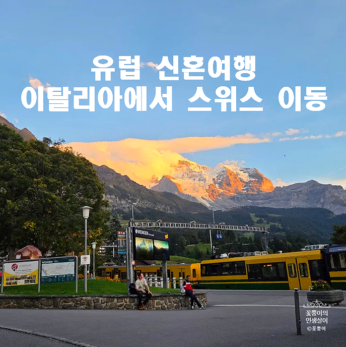 유럽 신혼여행 밀라노에서 스위스 이동 가는 법 트랜이탈리아 스위스 기차 좌석 캐리어 보관....