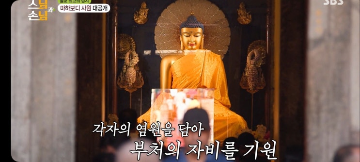  법륜로드 스님과손님 인도 콜카타맛집 수피플레이스 마살라 난 보드가야가는법 야간기차 버스 마하보디사원 불상 보리수나무