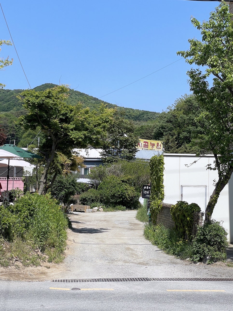 시골농원 사진 2