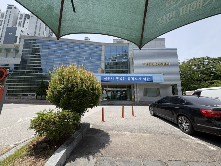 볼오브크림 사진 2