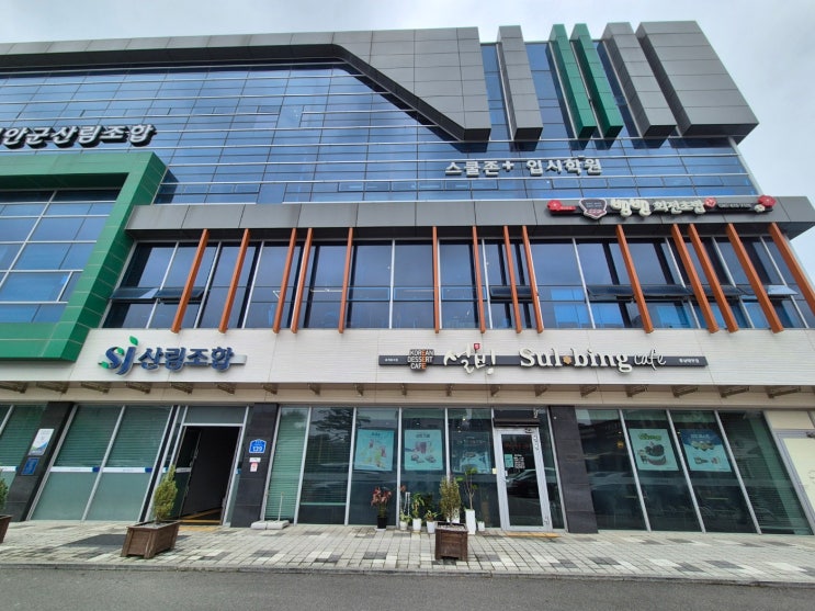  [태안 맛집] 접시당 1,900원부터?  태안읍 맛집 '뱅뱅회전초밥' 신선도에 제대로 반하고 온 찐후기 