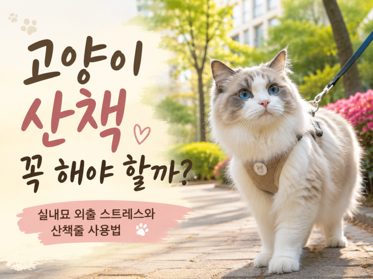  고양이 산책 꼭 해야 될까? 반려묘 외출 스트레스와 고양이산책줄 사용법