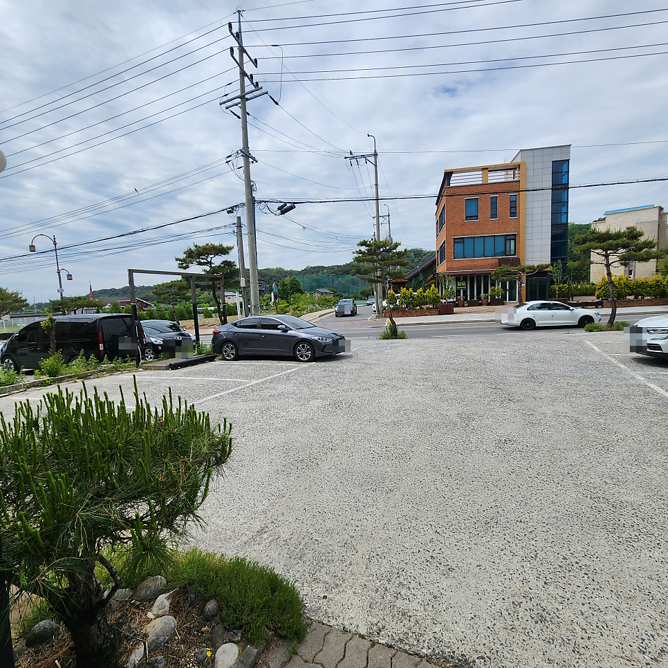 황금코다리 제천점 사진 1