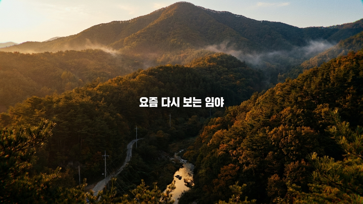  경산 진량읍 현내리 임야 매매"93,062 규모 대형 산지 + 임업경영 추천 + 장기 보유형 산림 자산