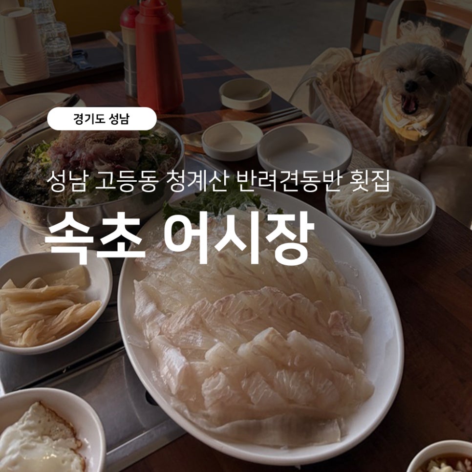 속초어시장 청계산점 사진 1