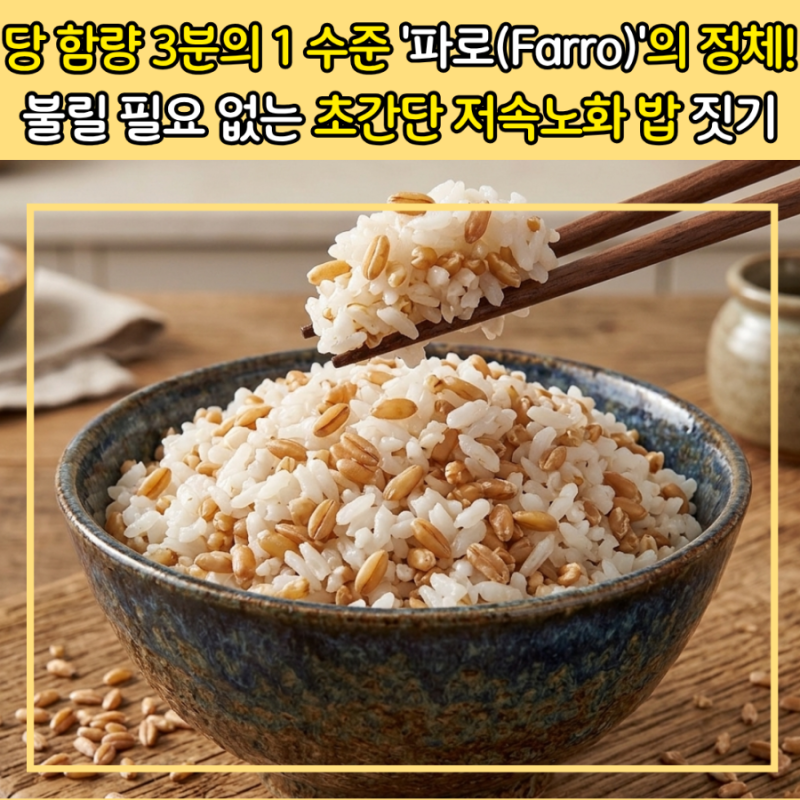 카무트 다음은 '이것'! 요즘 난리 난 저속노화 고대 곡물 '파로(Farro)' 효능과 쫀득한 파로밥 ....