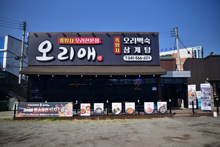 오리애 사진 2