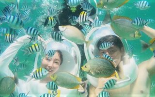  사피섬 & 마누칸섬 스노클링 호핑 투어 - 말레이시아 보물섬