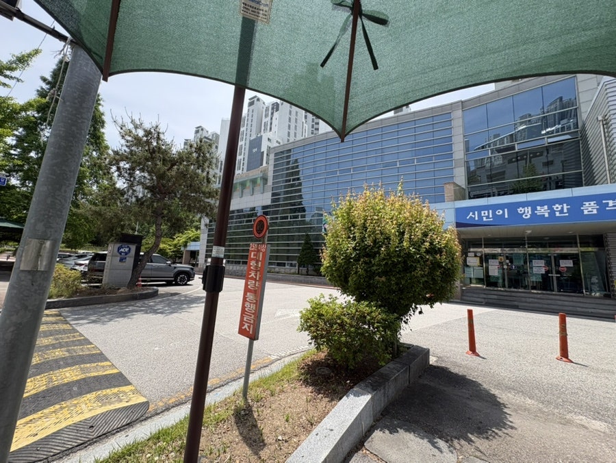 볼오브크림 사진 3