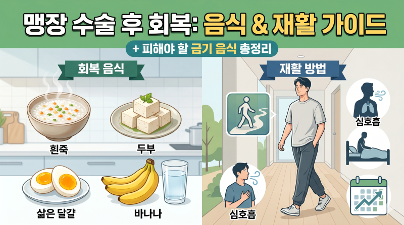 맹장 수술 후 회복에 좋은 음식과 재활 운동법 총정리 (피해야 할 금기 음식 포함)
