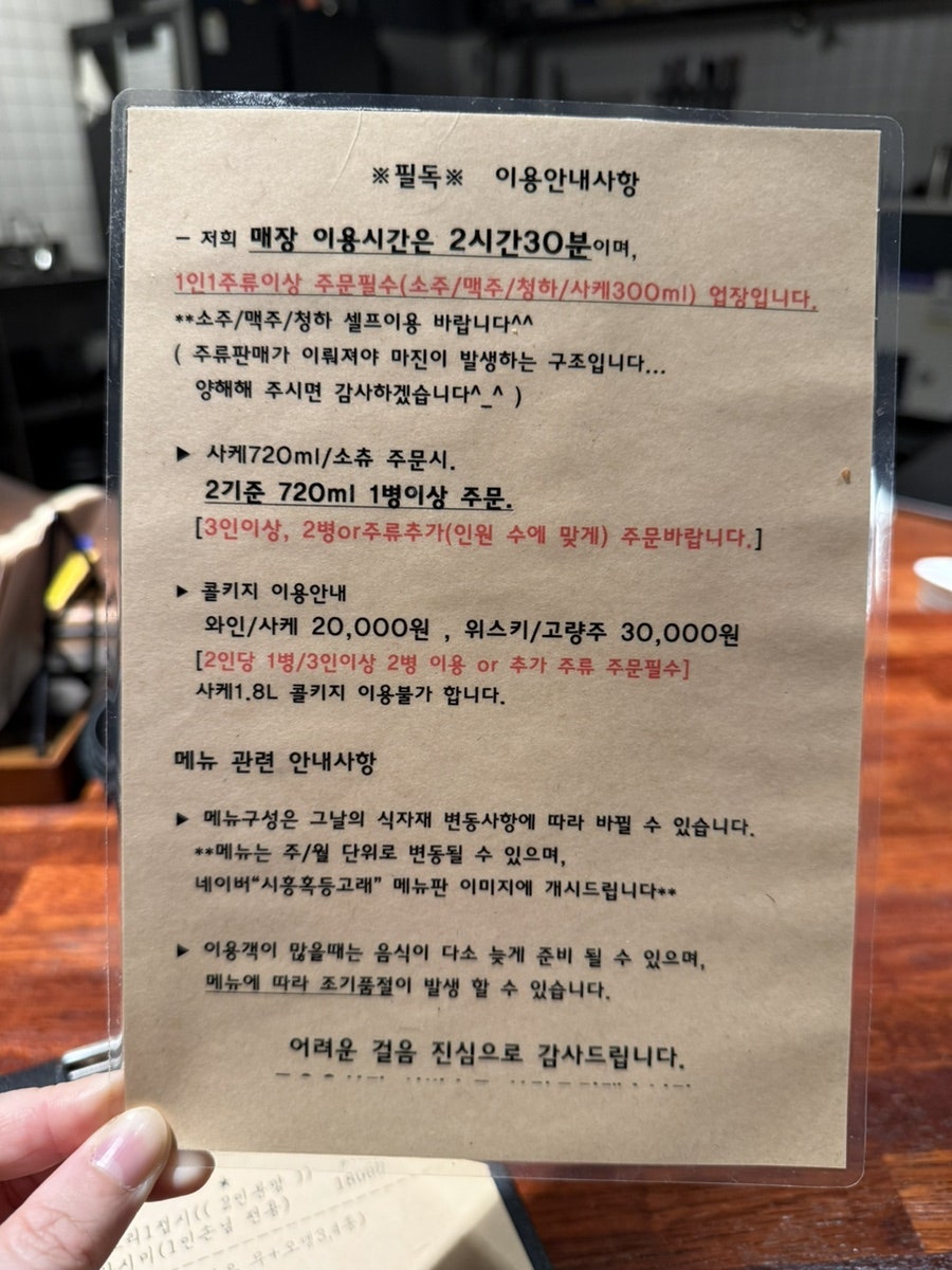 혹등고래 사진 5
