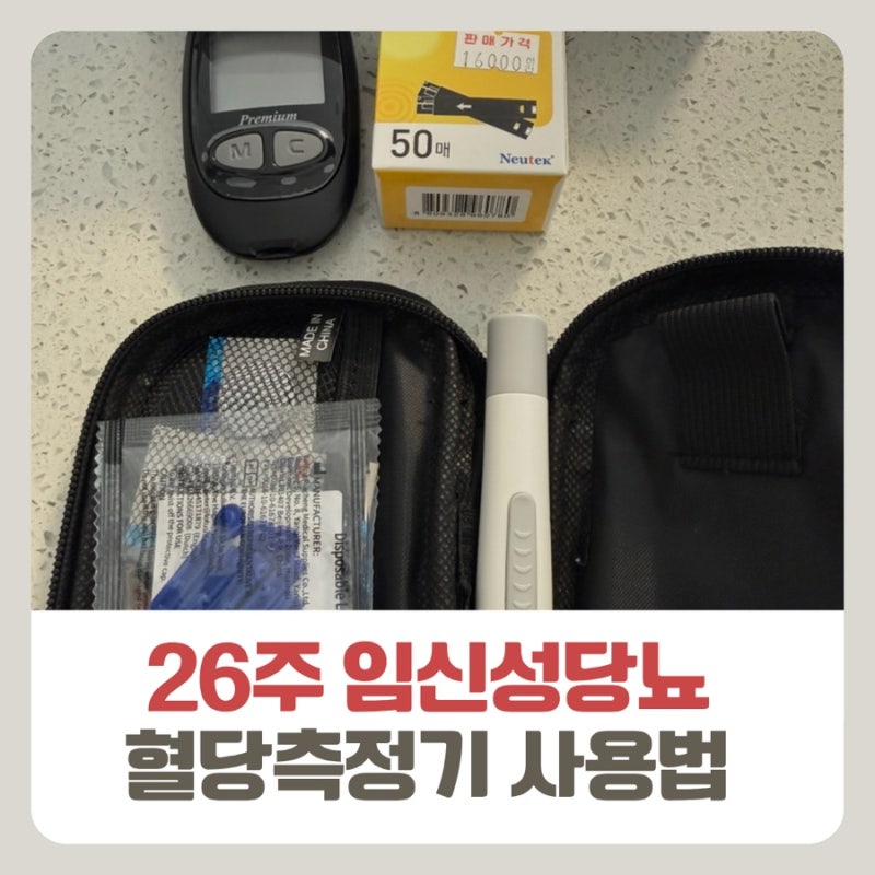 임산부)26주 임신성당뇨 내과진료, 자기혈당측정, 임당 식단관리