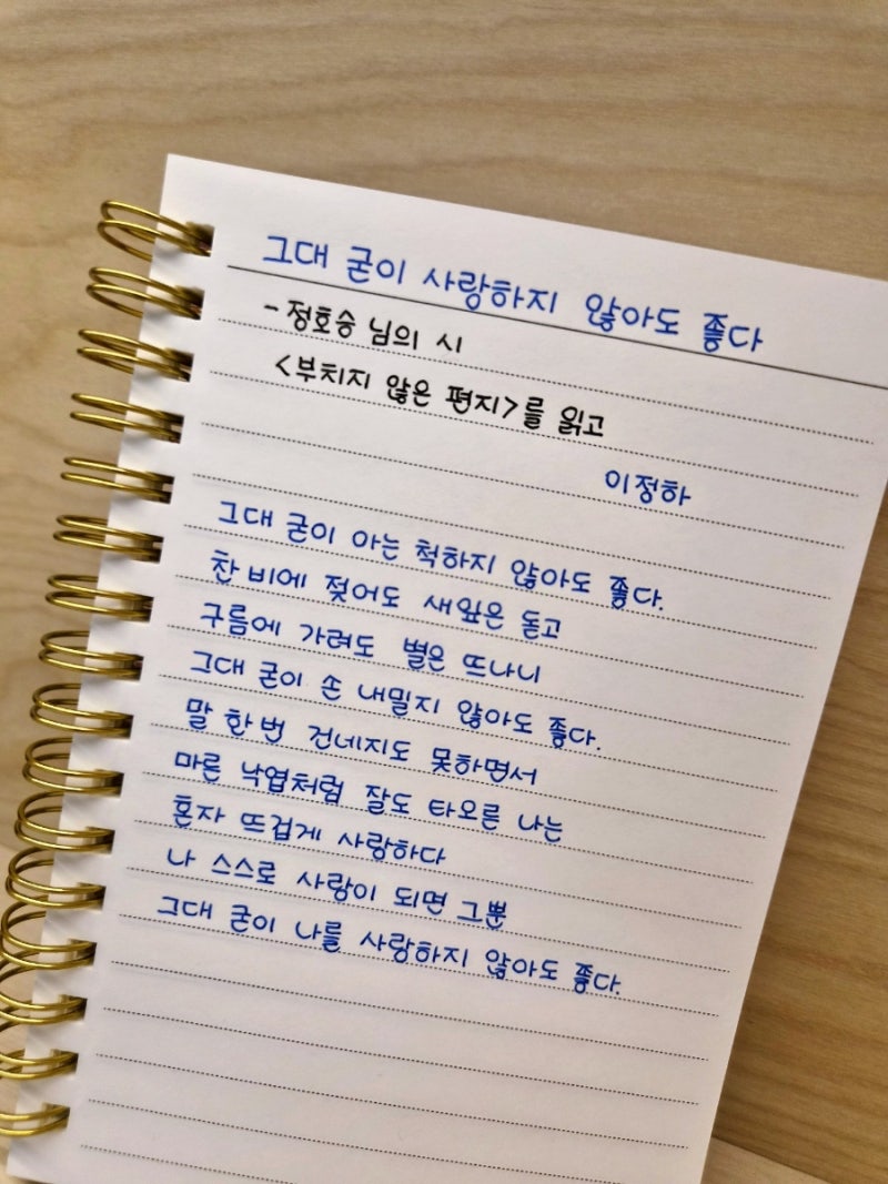 밤이 깊을수록 더 마음에 남는 문장_이정하 시 필사 「그대 굳이 사랑하지 않아도 좋다」 시....