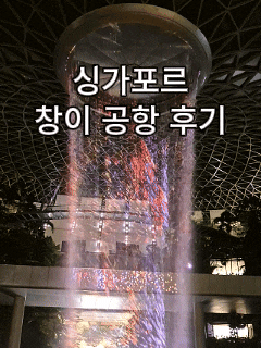 싱가포르 창이공항 2터미널 완벽 가이드｜셀프 체크인·수하물·주얼창이·레인보텍스·맛집 총정리 후기