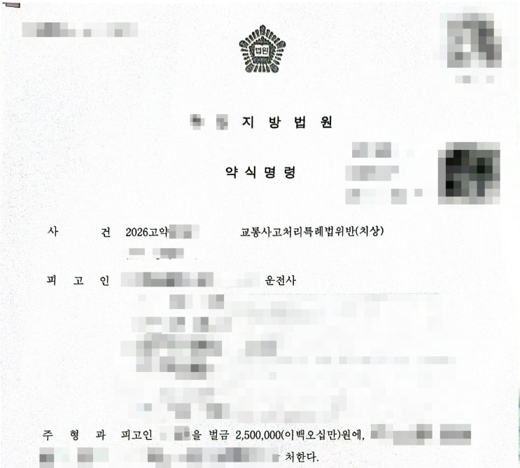  운전자보험 중과실 사고 실제 청구사례: 신호위반 사고 벌금 250만 원은 어떻게 보장되었을까