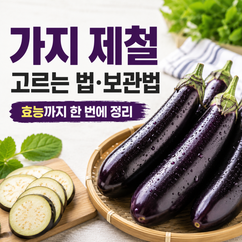 가지 제철 고르는 법과 보관법, 효능까지 한 번에 정리