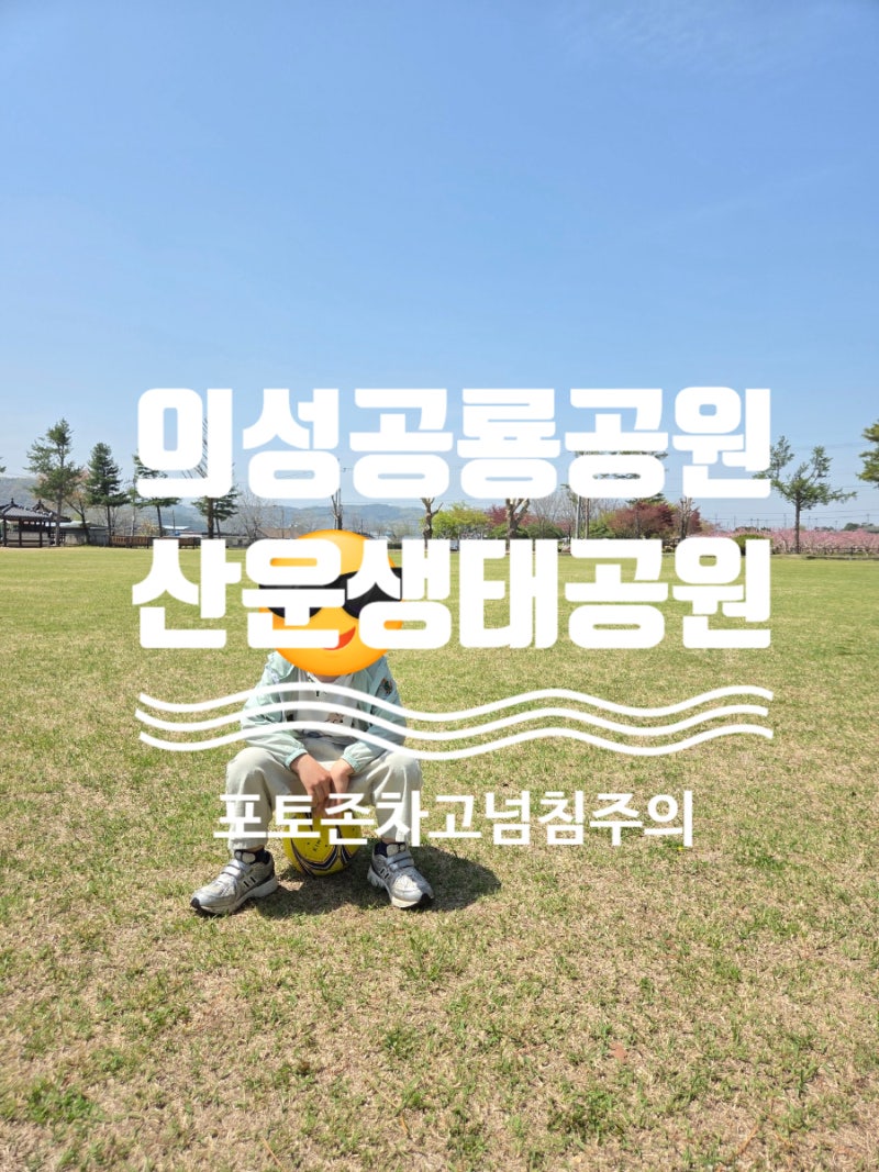 대구 근교 공룡공원 :) 포토존이 차고 넘치는 의성 산운생태공원