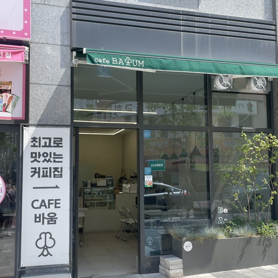 바움 사진 3