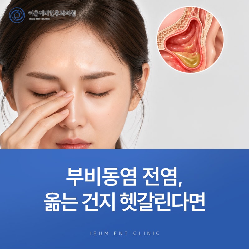부비동염이 전염되는 건지 헷갈린다면 읽어보세요