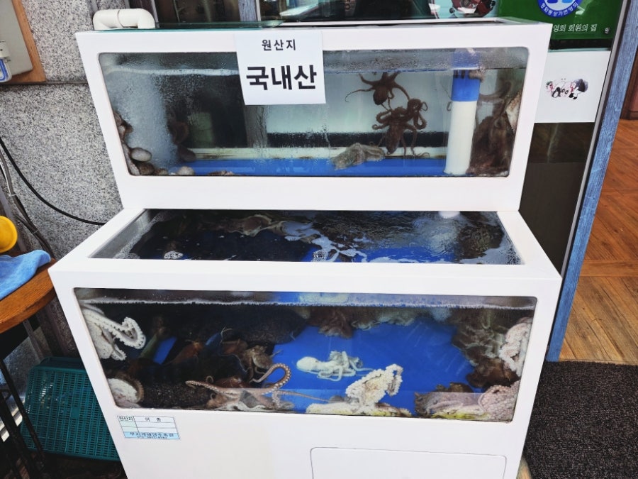 낙지마당 평화점 사진 1
