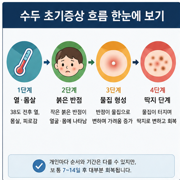 수두 초기증상 감기인 줄 알았는데 물집 전 이런 흐름이 나타납니다