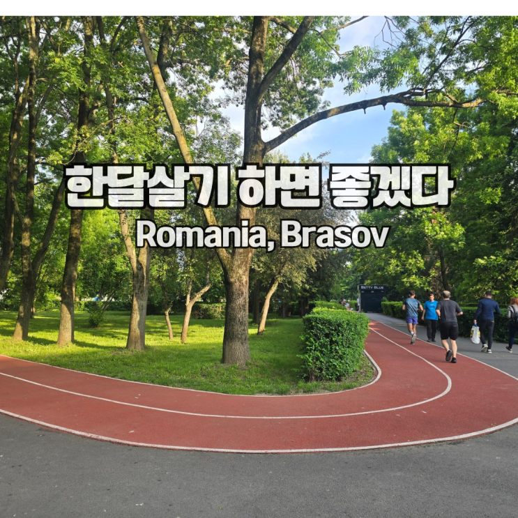 [부부세계여행]+77 루마니아 브라소브 : 렌트카 예약비 날리고... 