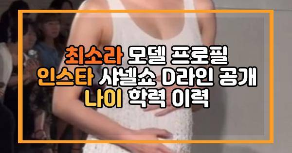 최소라 모델 프로필 인스타 샤넬쇼 D라인 공개 나이 학력 이력