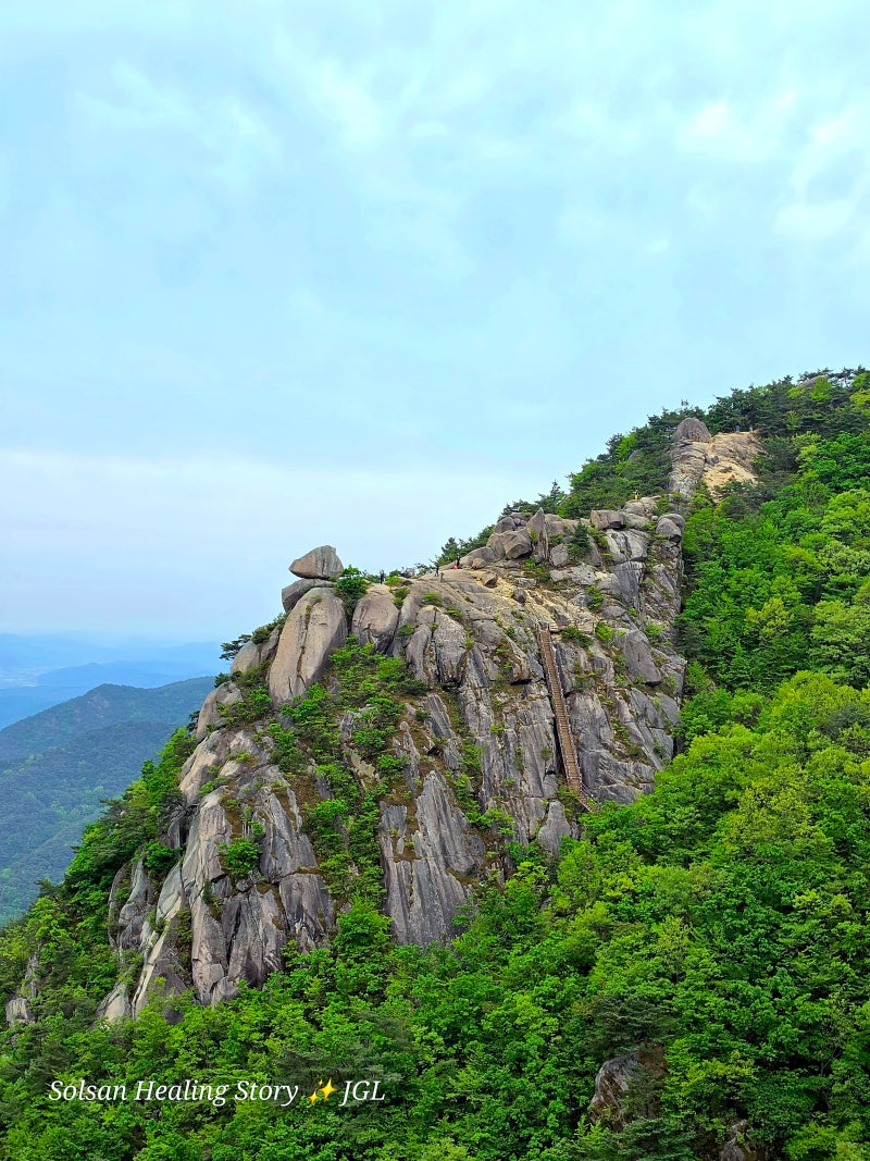 황매산 기적길 모산재 등산코스 ⛰️ 모산재에서 철쭉군락지까지 탐방하다 26년5월2일 실시....