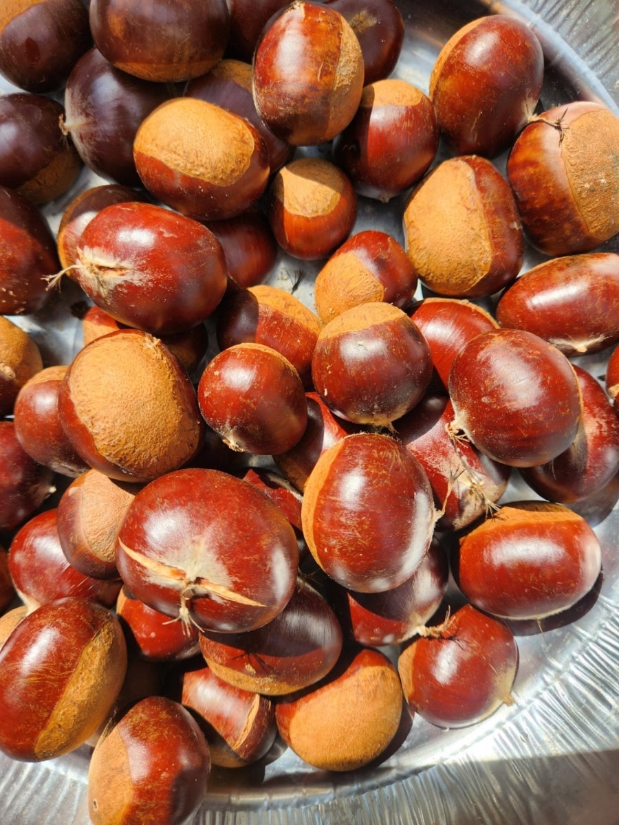열호당펜션 사진 6