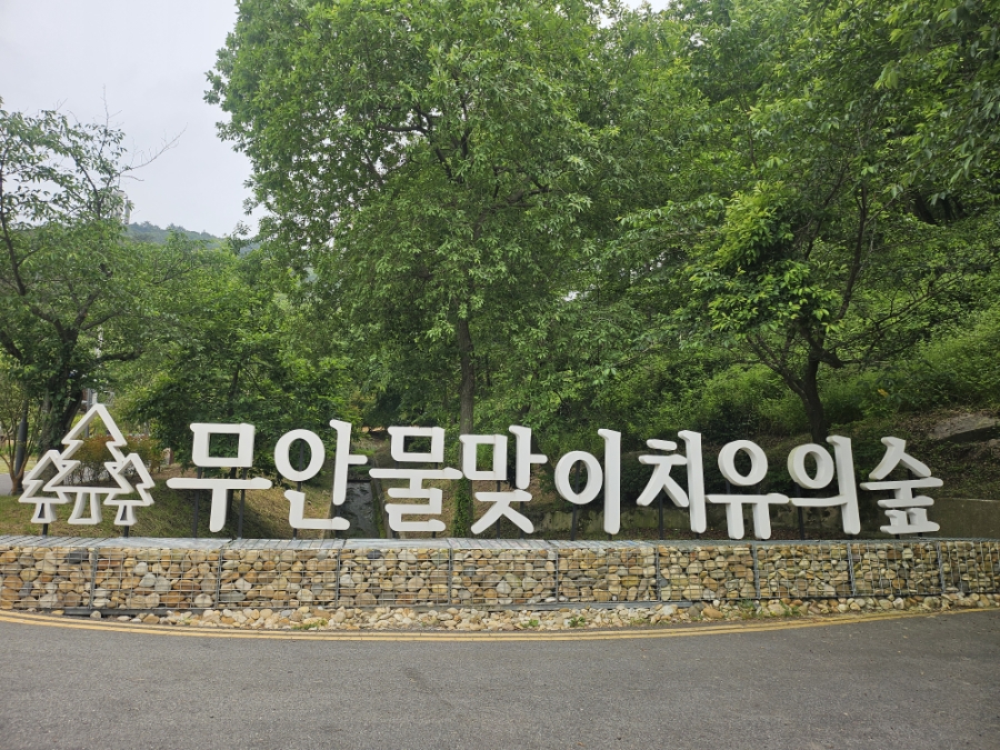 물맞이 치유의 숲 사진 3