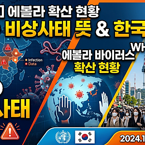 에볼라 바이러스 확산 현황 WHO 비상사태 뜻과 한국 영향은?