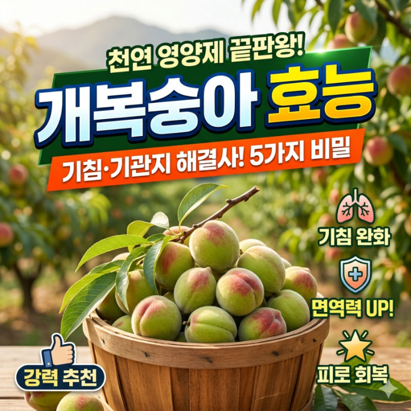 개숭아 효능, 개복숭아효소효능 부작용