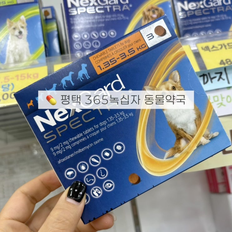  평택동물약국 아포퀠, 넥스가드 스펙트라 가격! 365녹십자약국 다녀온 후기