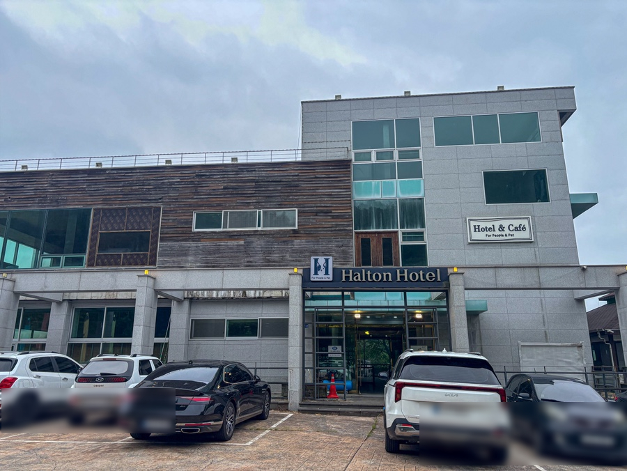할튼호텔 사진 3