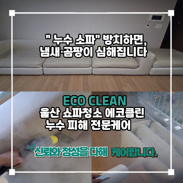울산 쇼파청소 누수 피해 소파 냄새 제거는 에코클린 울산본점