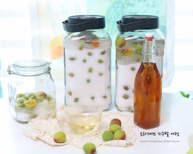 매실청 만들기 담그기 매실 담그는법 시기 보관법 용기