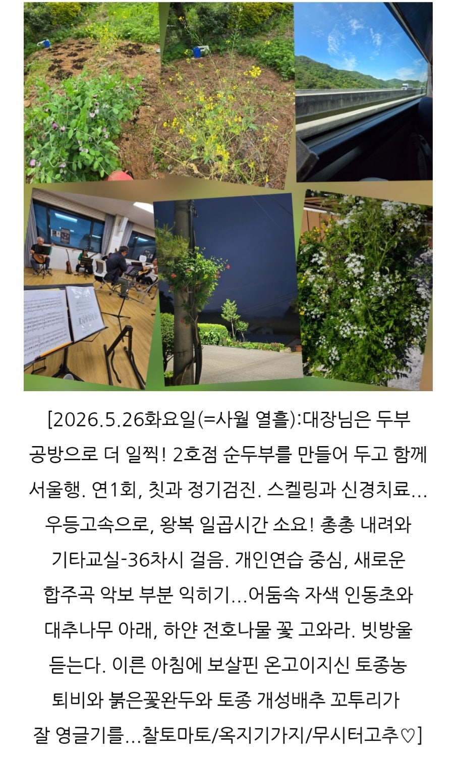 동막골 사진 5