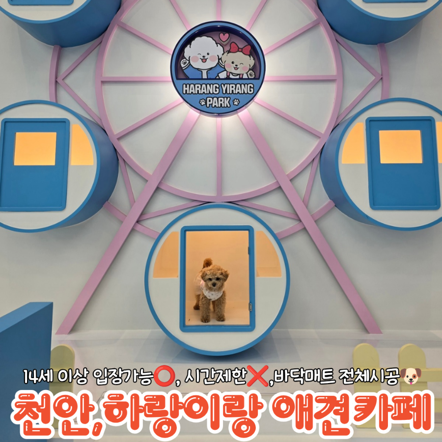 하랑이랑애견카페 사진 1