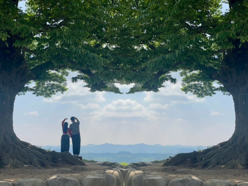 부여 여행 / 인생샷 성지 성흥산성 사랑나무, 하트 모양 만드는 법 & 정확한 위치, 주차장