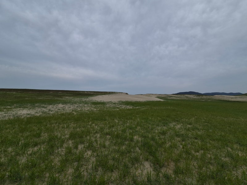 Taean Sinduri Coastal Dune, Seosan Dalin Mandu