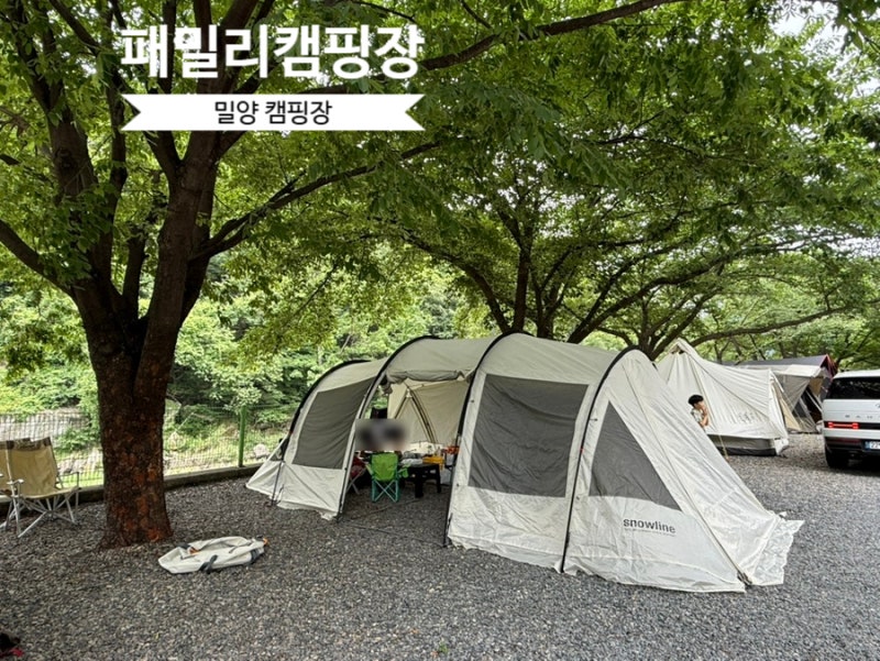 부산 근교 캠핑장 애견 동반 가능한 밀양 패밀리오토캠핑장