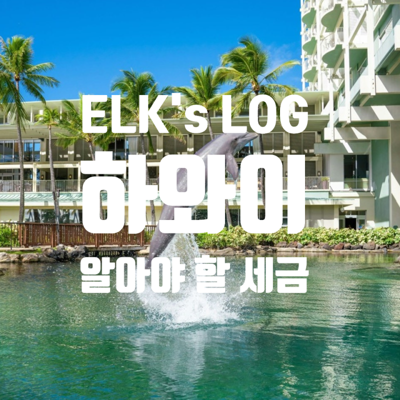 하와이 신혼여행 예산 짤 때 이 부분을 고려 안하면 낭패를 볼 수 있습니다. (feat. 와이키키 ....