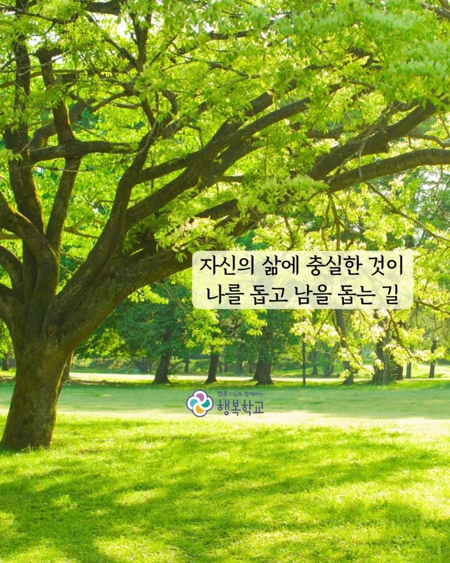 동막골 사진 4