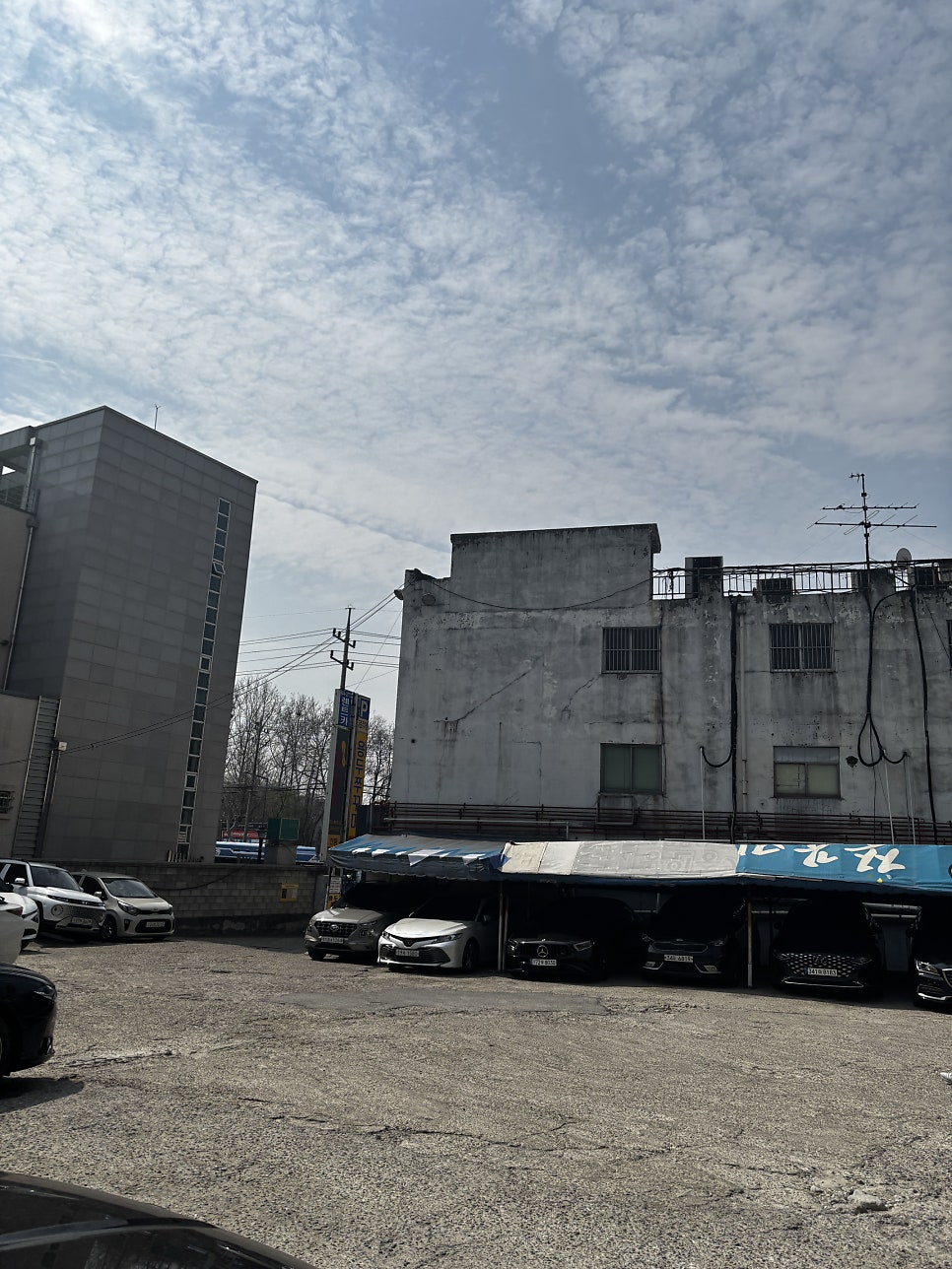 미스터피자 아차산점 사진 3
